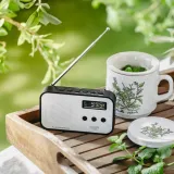 radio-adler-ad-1907-radio-am-fm