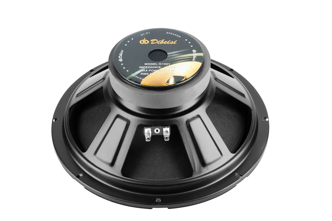 glosnik-montazowy-10-dibeisi