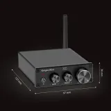 wzmacniacz-stereo-krugerandmatz-model-a10-pozostale-zlacza-cyfrowe-wejscie-audio