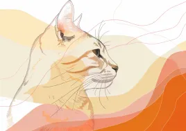 plakat-297x21cm-delikatny-profil-kota