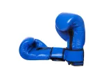 rekawice-bokserskie-evolution-pro-skorzane-model-pro