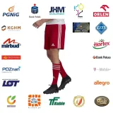 spodenki-adidas-squadra-21-model-gn5771
