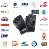 rekawice-evolution-mma-stan-nowy