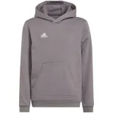 dres-adidas-entrada-22-junior-rozmiar-116