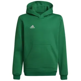 bluza-adidas-entrada-22-hoody-zielona-jr