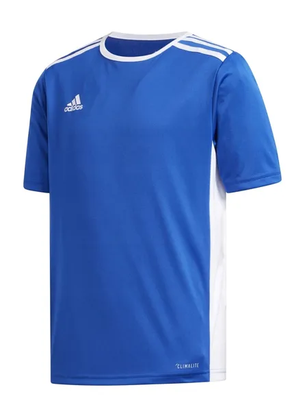 koszulka-adidas-entrada-18-kolor-niebieski