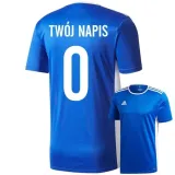 koszulka-adidas-entrada-18-material-dominujacy-poliester