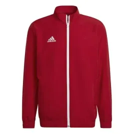 bluza-adidas-entrada-22-presentation