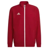 bluza-adidas-entrada-22-presentation-stan-nowy