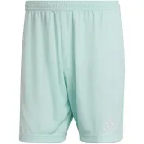 spodenki-adidas-entrada-22-m-plec-mezczyzna