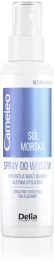delia-spray-stylizujaca-odzywka-do-wlosow-cameleo-sol-morska-150-ml
