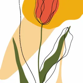 plakat-30x30cm-przerysowany-tulipan