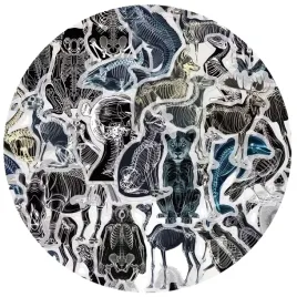 naklejki-zestaw-mix-x50szt-zwierzeta-rtg-szkielety