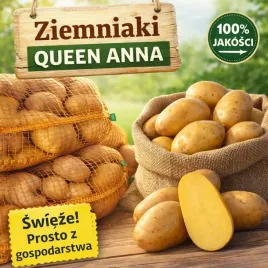 ziemniaki-zolte-queen-anne-kartofle-pyry-standardowe-jadalne-95kg