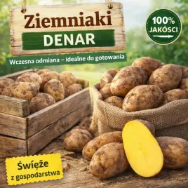 ziemniaki-denar-jadalne-pyry-kartofle-z-gospodarstwa-95kg