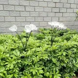 lampa-solarna-ogrodowa-wbijana-led-meduza-dmuchawiec-rgb-2-szt-slupek-xxl-stan-nowy-stan-opakowania-oryginalne