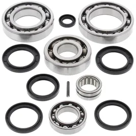 zestaw-naprawczy-dyferencjalu-tylnego-all-balls-kawasaki-kvf650-brute-05-13