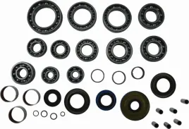zestaw-naprawczy-dyferencjalu-tylnego-all-balls-polaris-ace-570-17-18