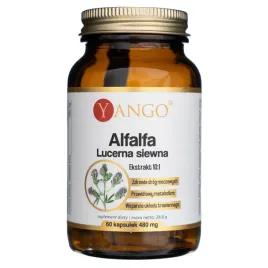 yango-alfalfa-lucerna-siewna-480-mg-60-kapsulek