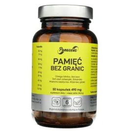 panaseus-pamiec-bez-granic-ginkgo-biloba-rozeniec