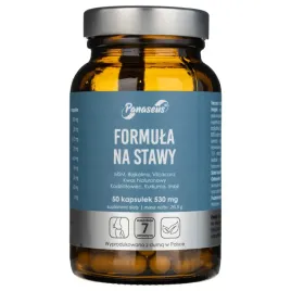 panaseus-zdrowe-stawy-530mg-50-kap-msm-hialuron