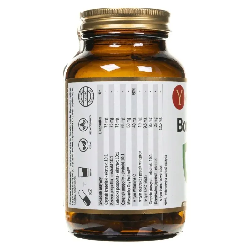 yango-borrelin-6-borelioza
