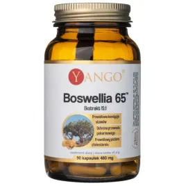 yango-boswellia-65-460mg-cholersterol-90-kaps