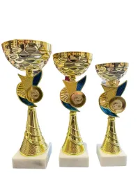 komplet-3-eleganckich-pucharow-wedkarskich-31-28-25cm-karp-ryba-zawody-opis