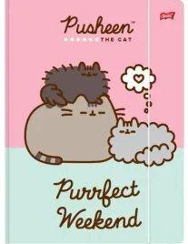teczka-z-gumka-a4-kotek-pusheen-kartonowa-szkolna-rozowa-unipap