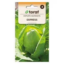 kapusta-glowiasta-biala-express-1g