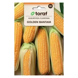 kukurydza-cukrowa-golden-bantam-20g