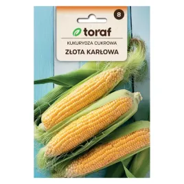kukurydza-cukrowa-zlota-karlowa-20g