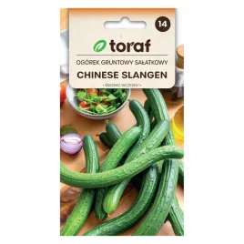 ogorek-salatkowy-gruntowy-chinese-slangen-5g