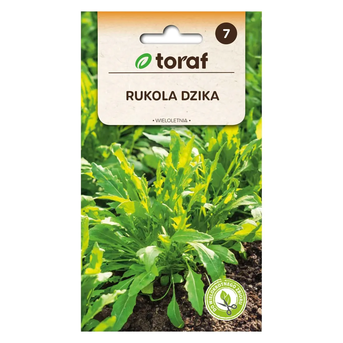 Grafika w opisie produktu