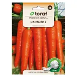 marchew-nantaise-2-tasma-6m