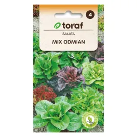 salata-mix-odmian-1g