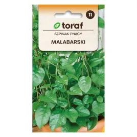 szpinak-pnacy-malabarski-05g