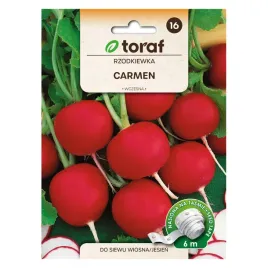 rzodkiewka-carmen-tasma-6m