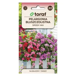 pelargonia-zwisajaca-speedy-mix-10-szt