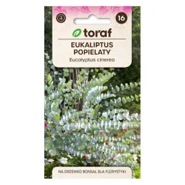 eukaliptus-popielaty-20-szt