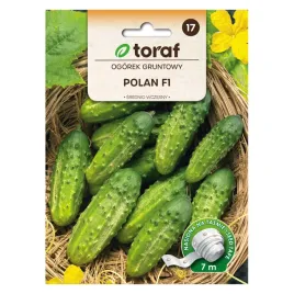 ogorek-gruntowy-polan-f1-tasma-7m
