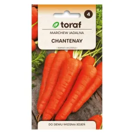 marchew-chantenay-5g