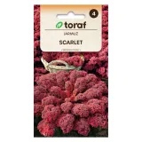 jarmuz-scarlet-1g