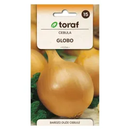 cebula-globo-2g
