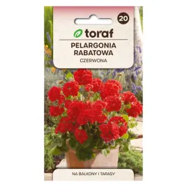 pelargonia-rabatowa-czerwona-05g