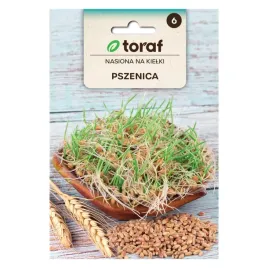 nasiona-na-kielki-pszenica-50g