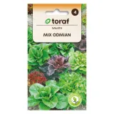 salata-mix-odmian-1g