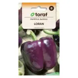papryka-loran-03g