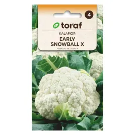 kalafior-early-snowball-x-1g