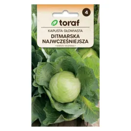 kapusta-glowiasta-biala-ditmarska-2g